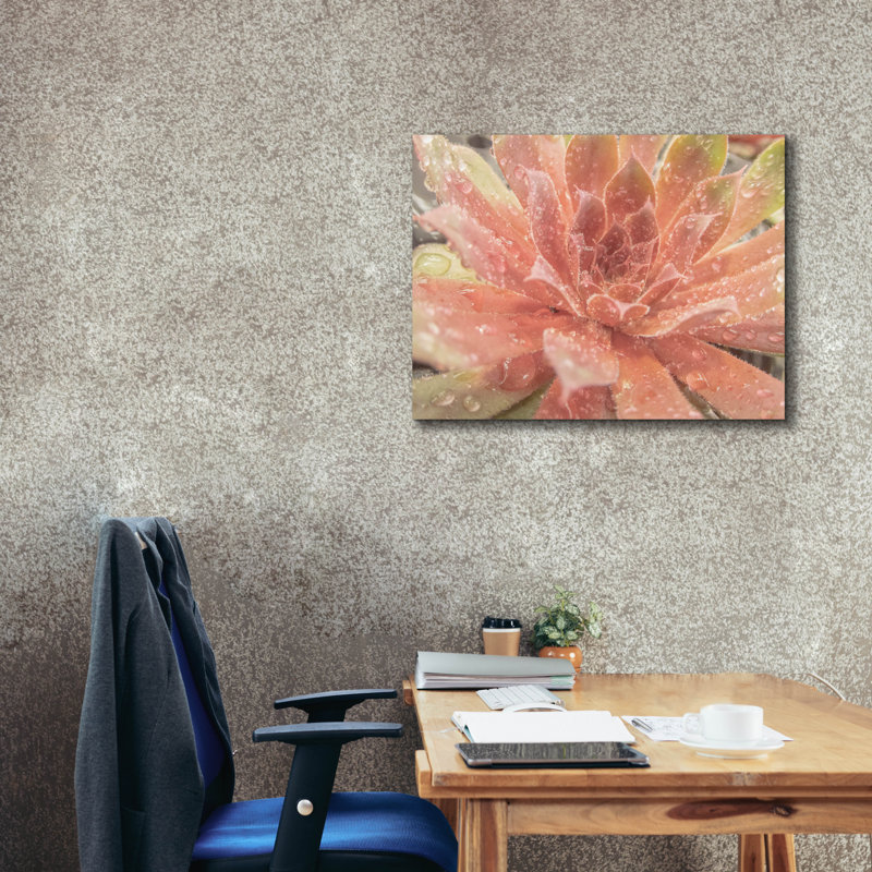  «Droplet Of The Desert 2» par Life BeautifuLEE, art mural sur toile, 34 po x 26 po, H 26 po x l 34 po