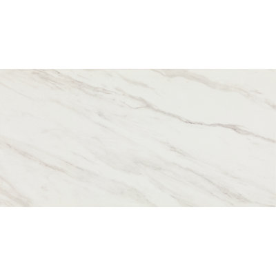 Daltile Artsy 12 x 24 Floor Tile (9 PC Per Carton) (17.01 SQFT Per Carton)