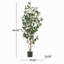ARBRE DE LAURIER ARTIFIQUE 150CM 150CM