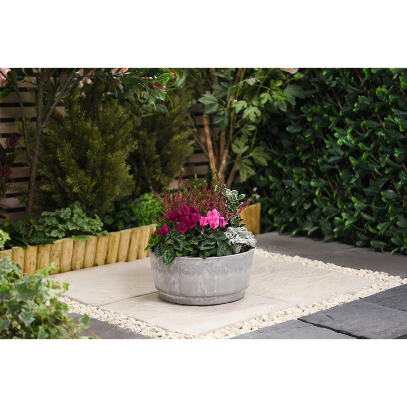 Ceasar Pot Planter, 16cm H x 35cm W x 35cm D, 2