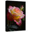Wrapped Canvas Print-129684392