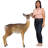 Animals Weather Resistant UV Resistant Polyresin Garden Statue