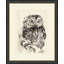 Owl Sketch 2 Print