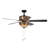 Isabeau 15'' Ceiling Fan with Light Kit