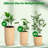 Planters With A Water Level Monitor, Self Watering System And Wheels, Medium Flower Pots For Living Room, Bedroom Office, Patio, Porch, Garden-2034553857-2034553856-2034553870