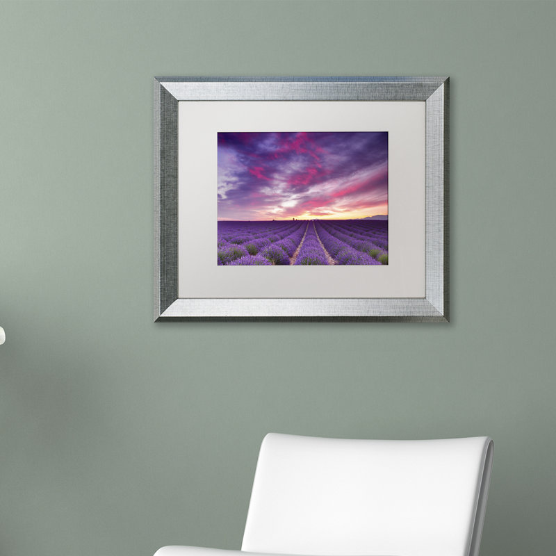 «Pink and Purple», impression sur toile encadrée, Blanc, H 16 po x l 20 po, Toile avec cadre argenté