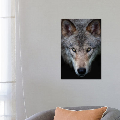 All The Better To See You - Timber Wolf by Jim Cumming - Wrapped Canvas Print