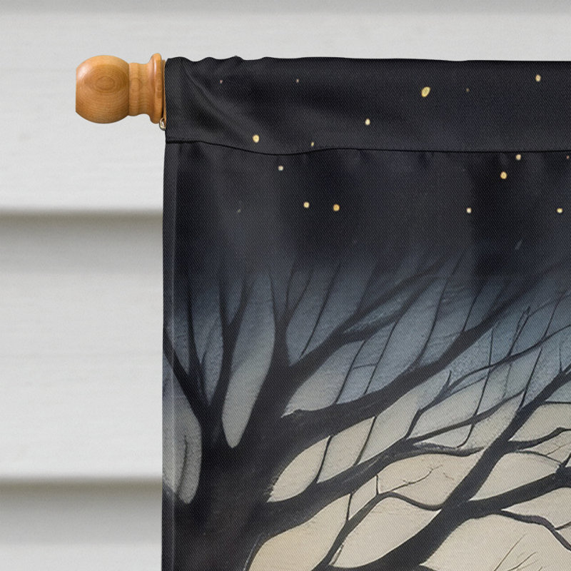 Double Sided 40'' H x 28'' W Polyester Halloween House Flag