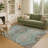 Machine Washable Indoor/Outdoor Chantille ACN2698 Global Rug-478714637-478714624
