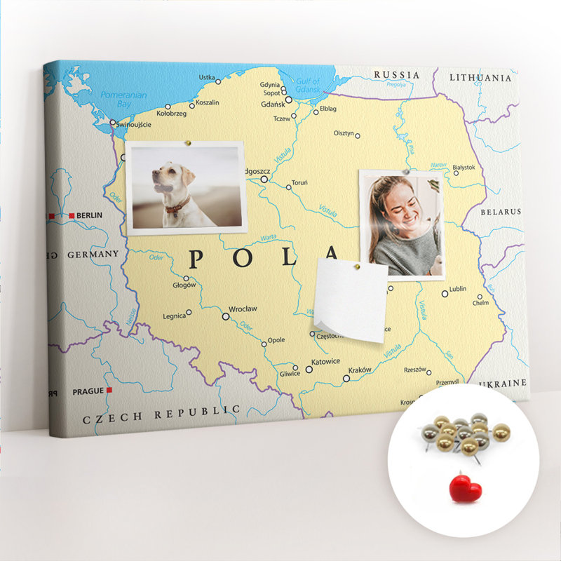 Lyelee Cork Corkboard / Bulletin Board