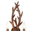 Applique murale rustique à 2 lumières Rustic-776605908
