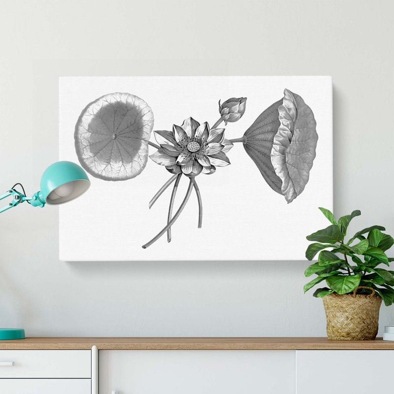 Sacred Lotus Flowers - Wrapped Canvas Print, 40cm H x 60cm W x 3cm D
