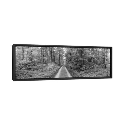 «Dirt Road passant à travers une forêt, Bade-Wurtourg, Allemagne», reproduction de photo sur toile