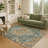 Machine Washable Indoor/Outdoor Chantille ACN2463 Traditional Rug-2027635570-2027635575