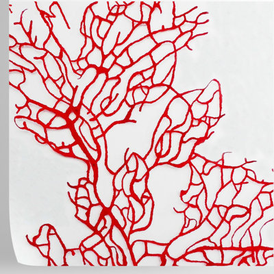 Red Coral Wallpaper