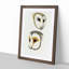 Illustration of Two Owls by John Gould - Picture Frame Painting Print-55579700-55579702