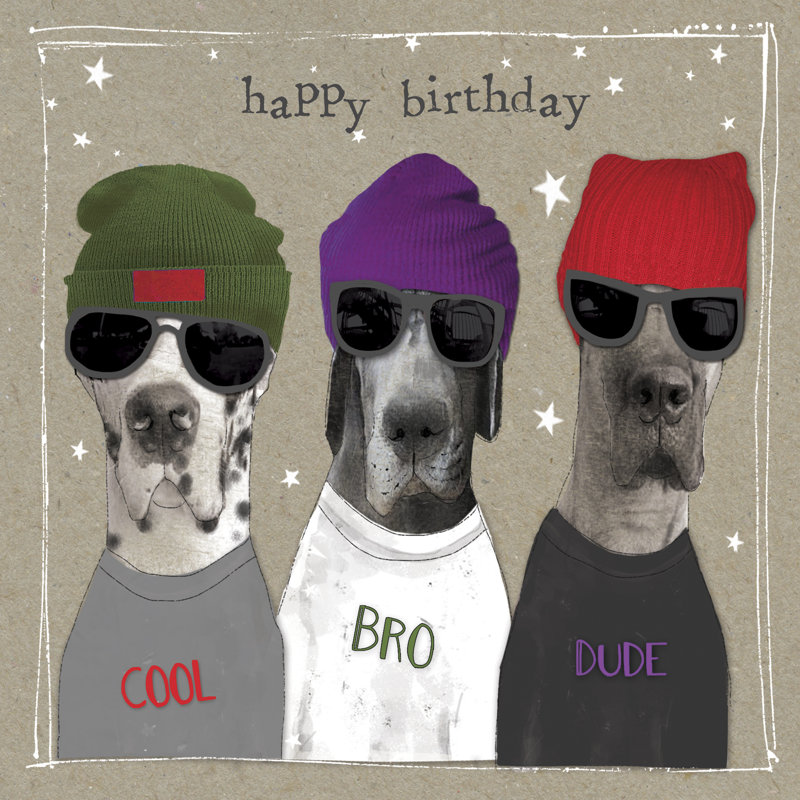 Fancypants Cool Dogs IX, H 12 po x l 12 po x P 1,25 po