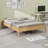 Modern Minimalist Platform Bed-66459629-66459616