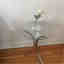 Photos des clients 1 de 1