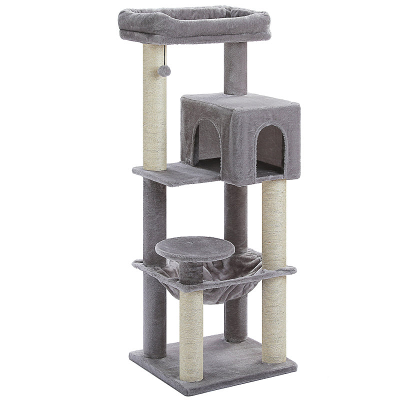 Arbre à chat, Gris