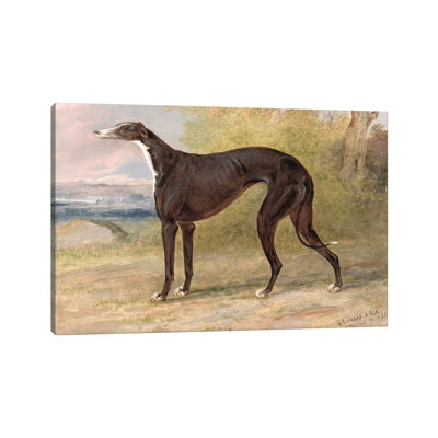 One of George Lane Fox's Winning Greyhounds: the Black and White Greyhound Bitch, Juno, also known as Elizabeth, 1822 1 Piece Wrapped Canvas Painting