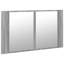 Dessel 2032mm W 1143mm H Wall Medicine Cabinet Mirror-174222631