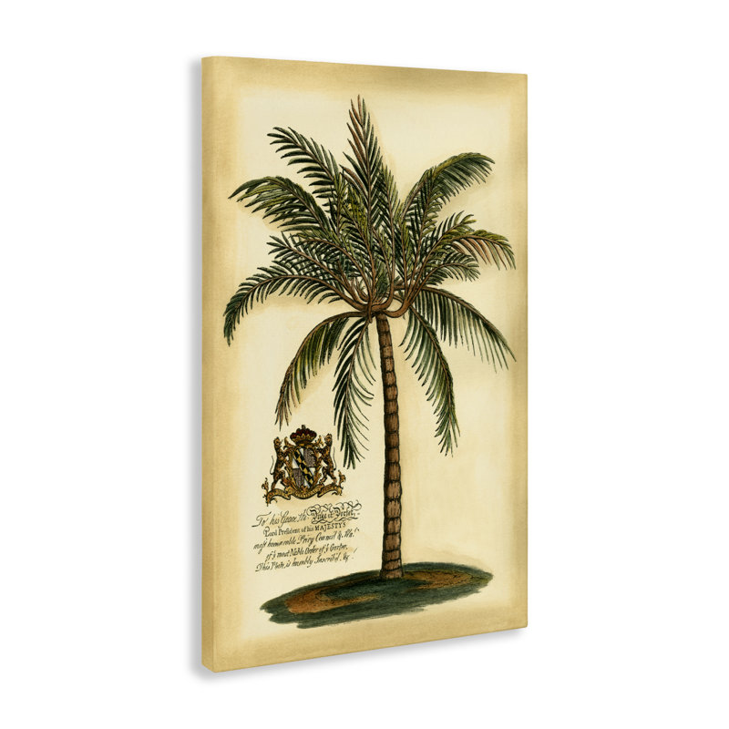Toile British Colonial Palm, conception par Vision Studio, H 24 po x l 16 po