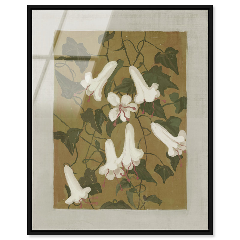 Angel Trumpet High-Gloss Frameless Acrylic Glass Wall Art Floral & Botanical Print by Oliver Gal, Ready to Hang, 16 x 20