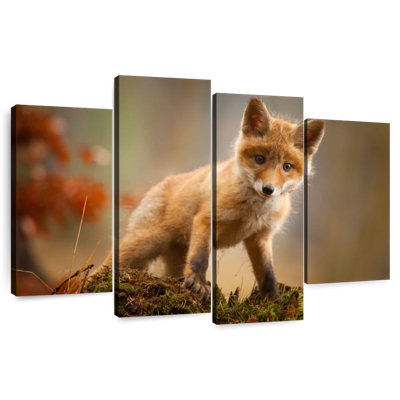 Brampt bébé forêt renard