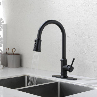 Kitchen Faucet With Pull Out Spraye