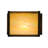 Solid Brass Wall Light
