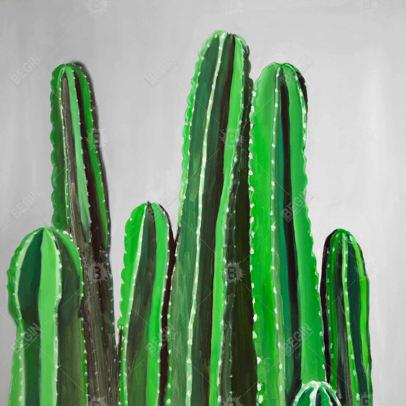 «Cactus Candles»