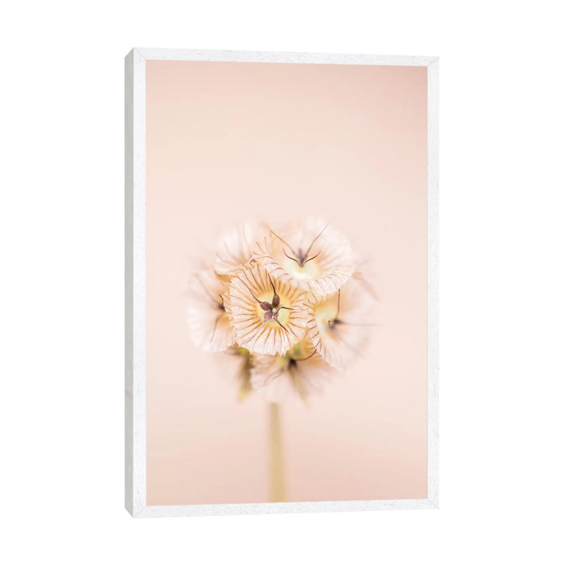 Bleach Blonde II 1 Piece Wall Art on Canvas, 66.04 cm H x 45.72 cm W, White Framed