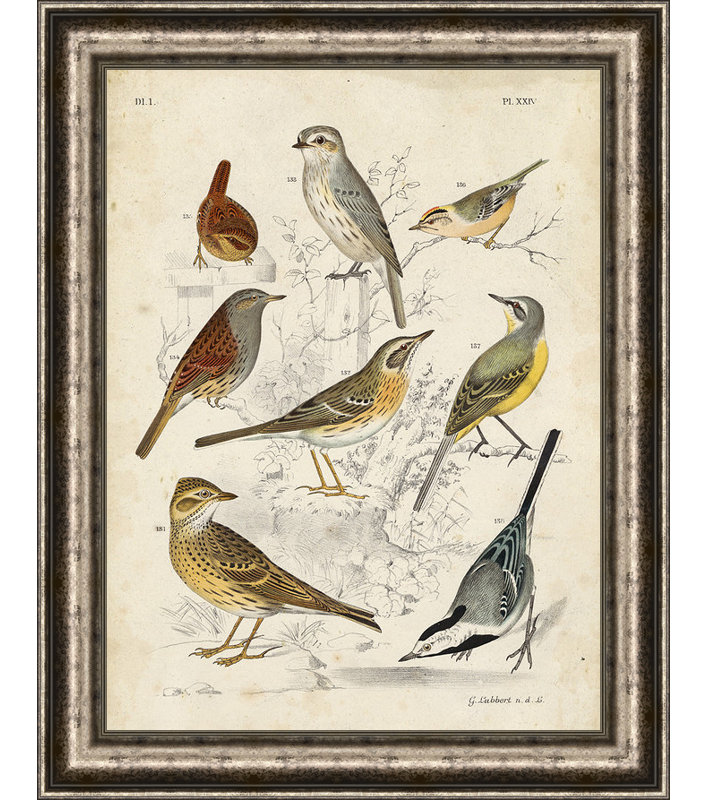 « gathering of oiseaux i », reproduction d’impression sur toile encadrée