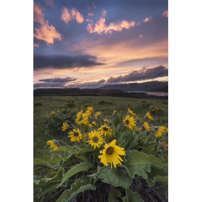 Sunset at the Gorge by Danny Head - Photograph