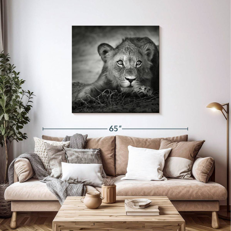Jeune tête de lion Brampt, H 39 po x l 39 po