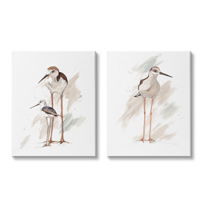 Bécasseau, famille d'oiseaux, plage ensoleillée, Patricia Pinto