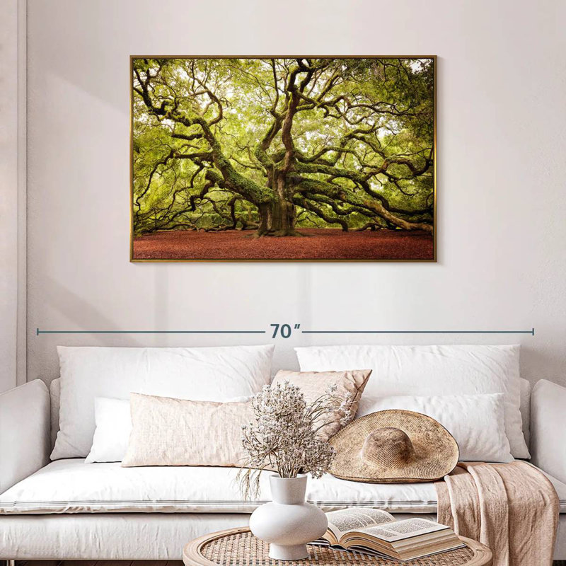 Chêne Charleston Angel, Cadre flottant doré, 43 po x 29 po