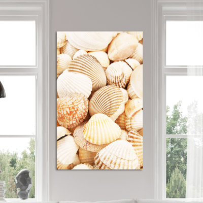 " Shells 2 "