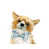 Wrapped Canvas is unavailable