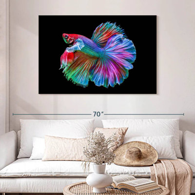 Poisson Betta chromatique