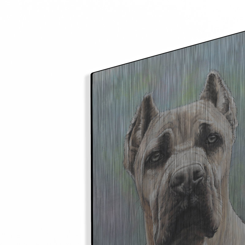 "Cane Corso 2" par Barbara Keith, H 24 po x l 16 po