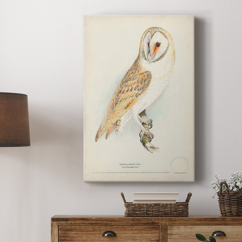 Chouette effraie - galerie Cavas sur mesure, H 48 po x l 32 po
