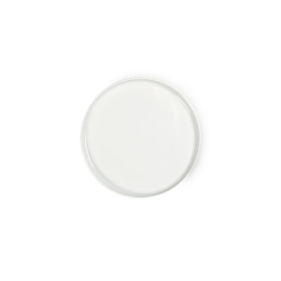 Toulouse Plates