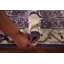 Tapis indien mauve et ivoire Oushak 3 x 10