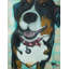 «Smiles for You» par Tori Campisi, reproduction sur toile-22057394