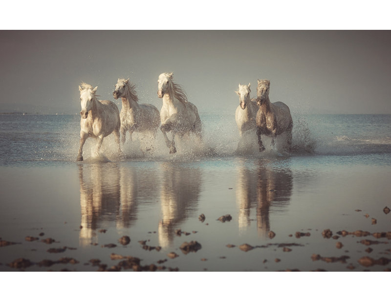 Wrapped Canvas Print, 60.96 cm H x 91.44 cm W