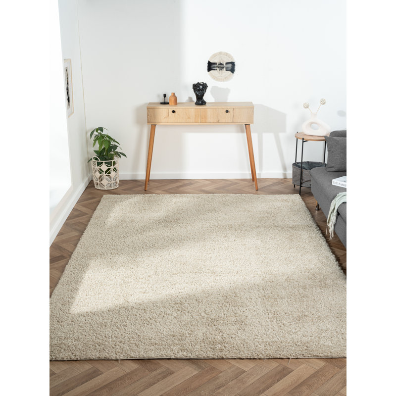Shaggy Lush Beige Rug, Rectangle 200 x 290cm