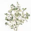 Branches de feuillage à tige artificielle de style maison de campagne artificielle pour remplissage de vase, centre de table de décoration de bureau à domicile