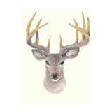 Deer Forest Print by Sara Brown
